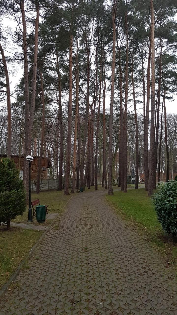 Apartament Maria Miedzyzdroje Buitenkant foto